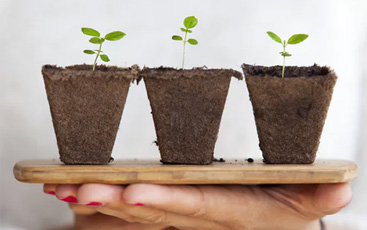 科學(xué)配方施肥大數(shù)據(jù)：有機(jī)肥、化肥如何施用？